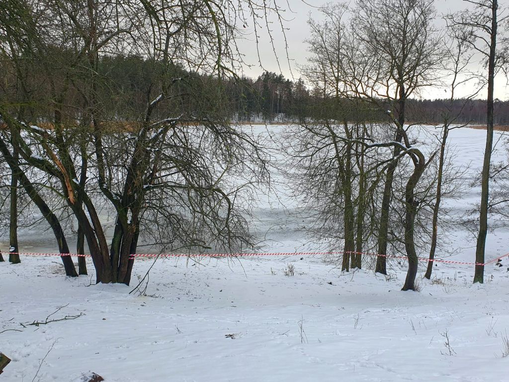 jezioro, lód, tafla lodowa, zwierzęta, konie