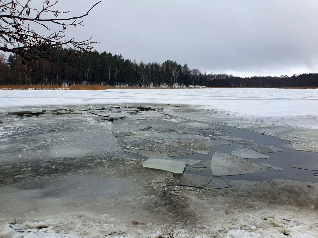 jezioro, lód, tafla lodowa, zwierzęta, konie