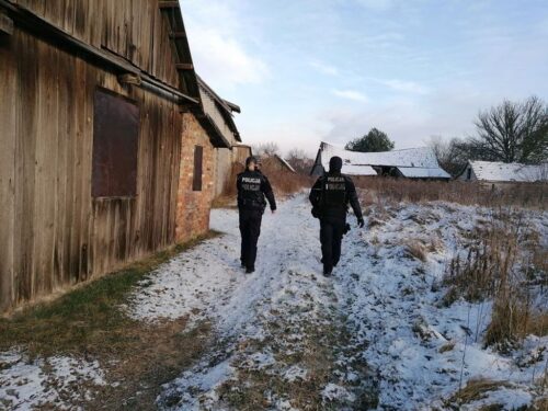kpp puławy, interwencja, gospodarstwo, martwe zwierzęta