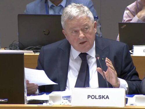 siekierski, ue, komisja europejska, handel