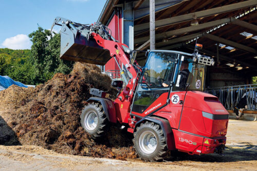 Weidemann