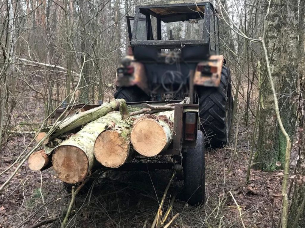 kpp parczew, kradzież, drewno, złodziej drewna