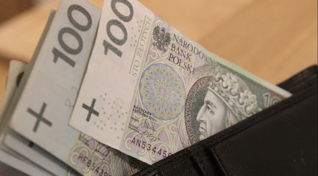 bgk, pomoc de minimis, gwarancje kredytowe, finansowanie, sektor rolny