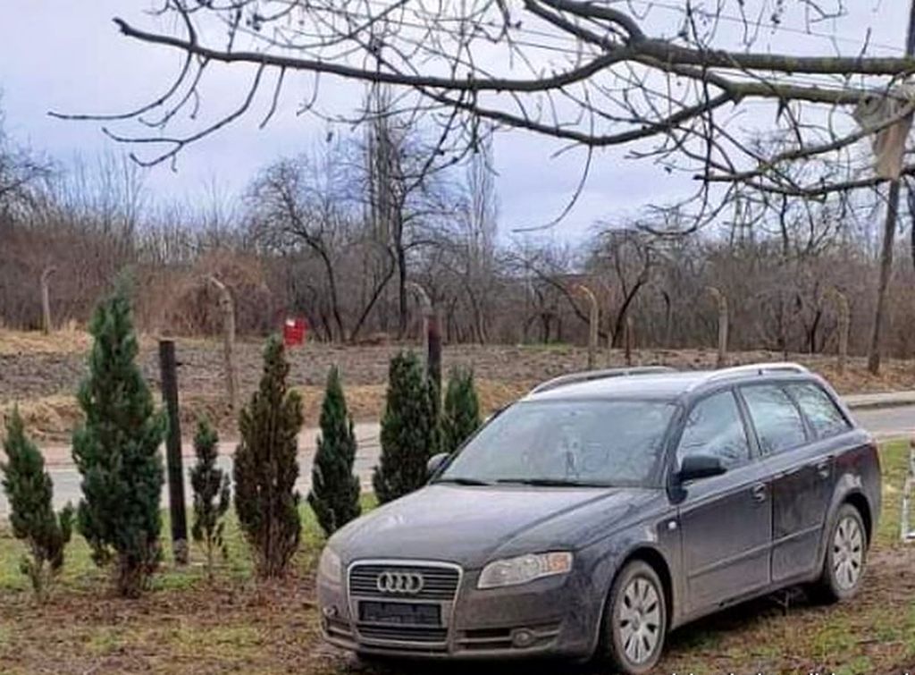 kradzież, kpp wołów, ciągnik, auto