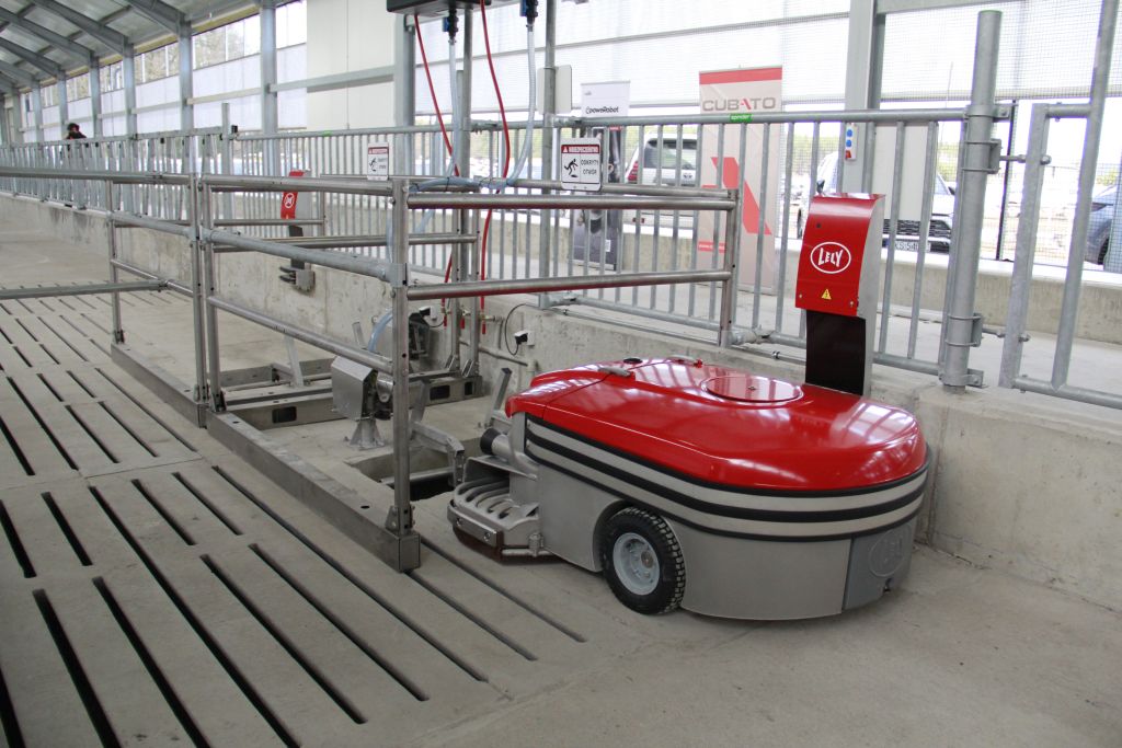robot udojowy, automatyczny dój, bydło mleczne, Lely, produkcja mleka