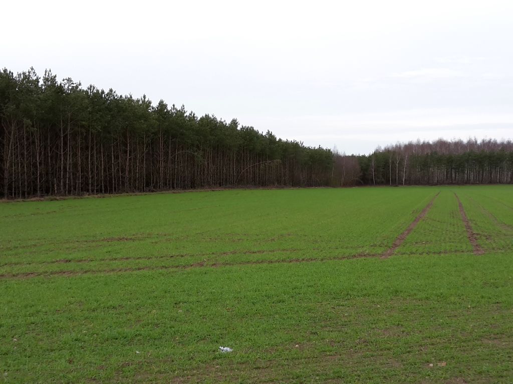 projekt rozporządzenia, gospodarstwa ekologiczne, produkcja ekologiczna, resort rolnictwa