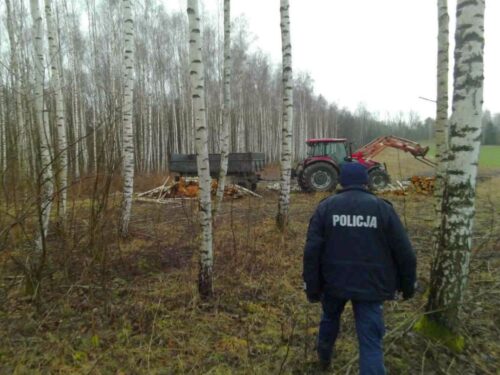 ciągnik, przyczepa, drewno, kradzież drewna