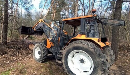 kpp ryki, wypadek, prace leśne, wycinka drzewa