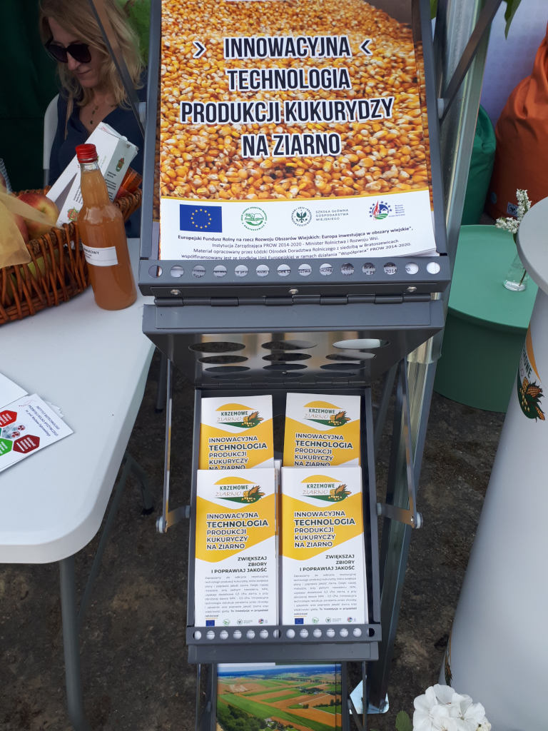 ŁODR w Bratoszewicach