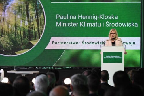 hennig-kloska, moratorium leśne, narada o lasach, lasy państwowe