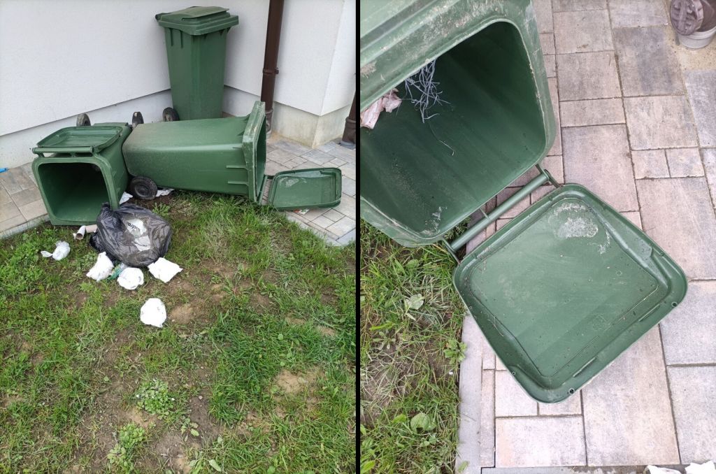 wieś, niedźwiedź, gmina, ostrzeżenie