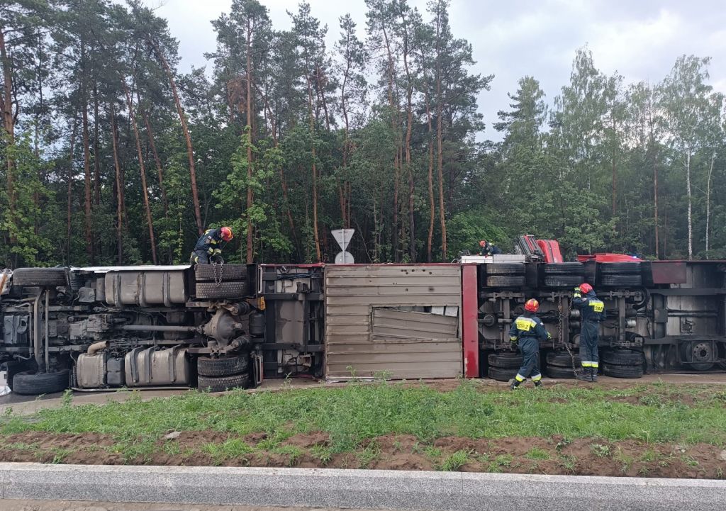 zdarzenie drogowe, wywrócona ciężarówka, przewóz bydła, krowy