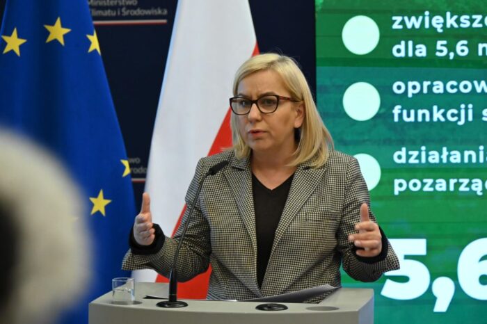 minister klimatu, hennig-kloska, ceny energii, ceny prądu