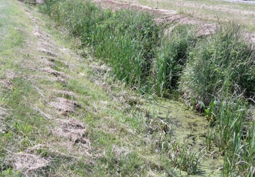 wojewoda, dofinansowanie, spółki wodne, związek spółek wodnych, melioracja