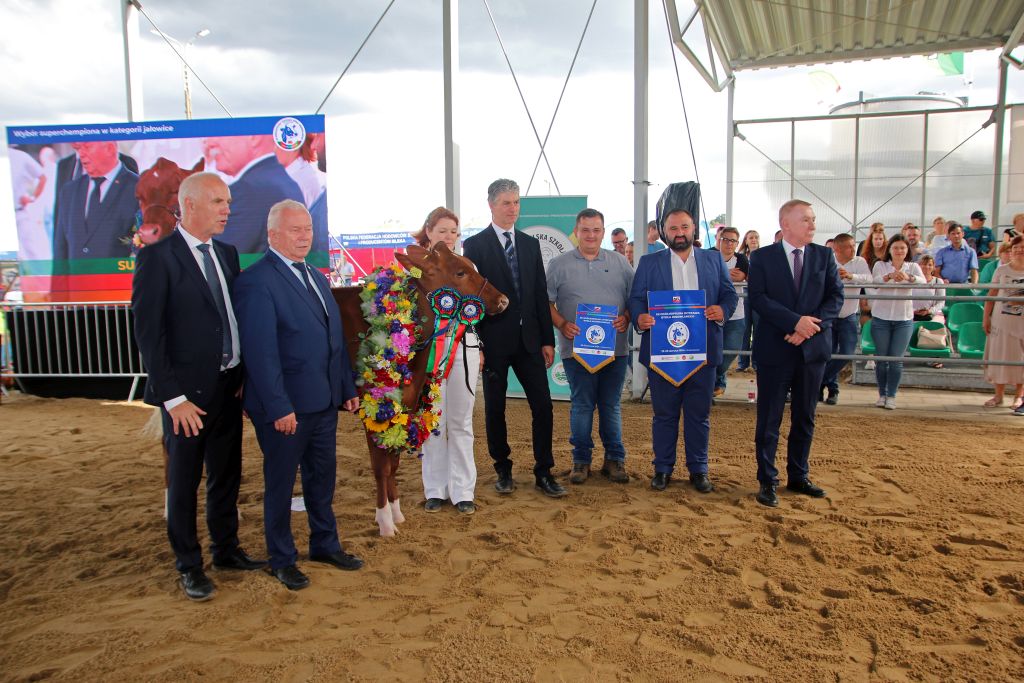 Ogólnopolska Wystawa Bydła Hodowlanego, bydło mleczne, jałówki, Osięcinka, OHZ Głogówek, superczempion