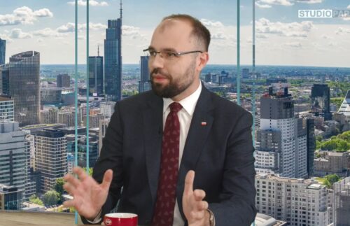 szczucki, ardanowski, pis, partia polityczna