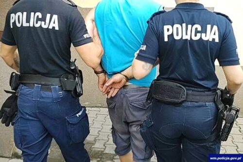 pies, uśmiercenie psa, ochrona zwierząt, burza
