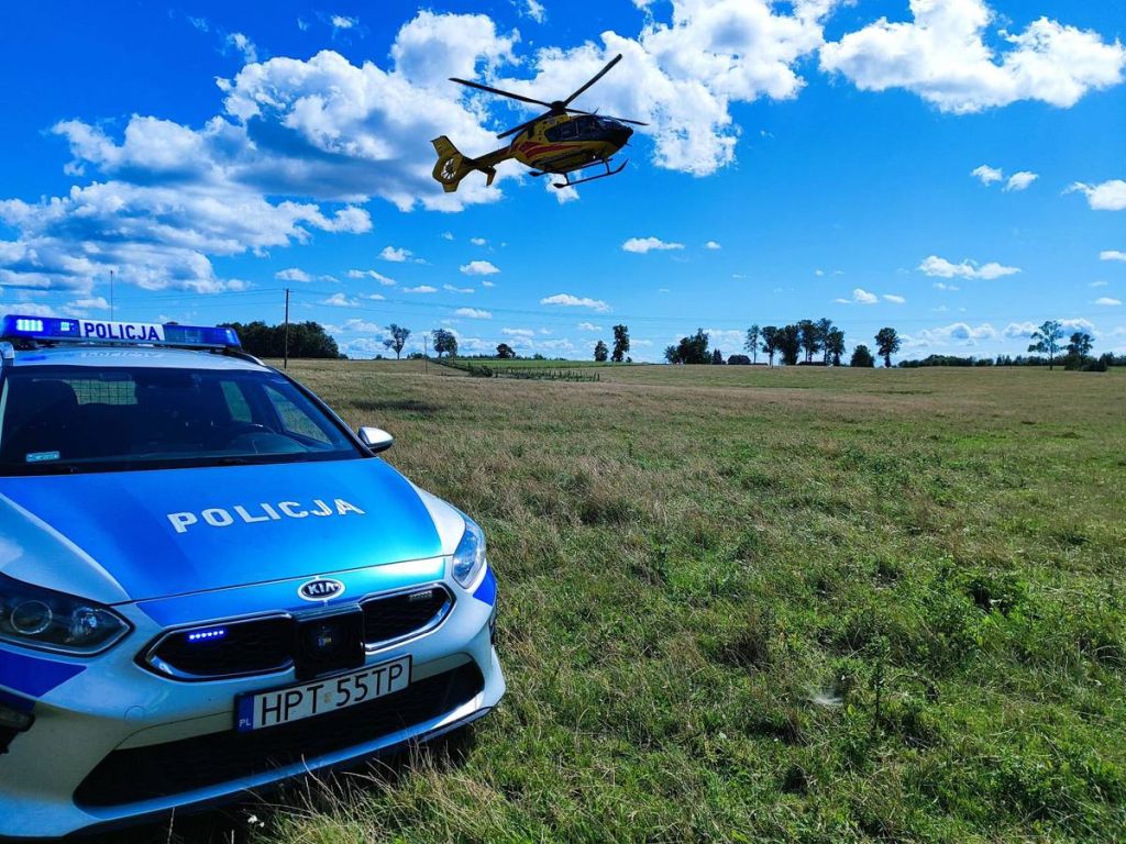 wypadek, zaganianie bydła, pędzenie bydła, motocyklista