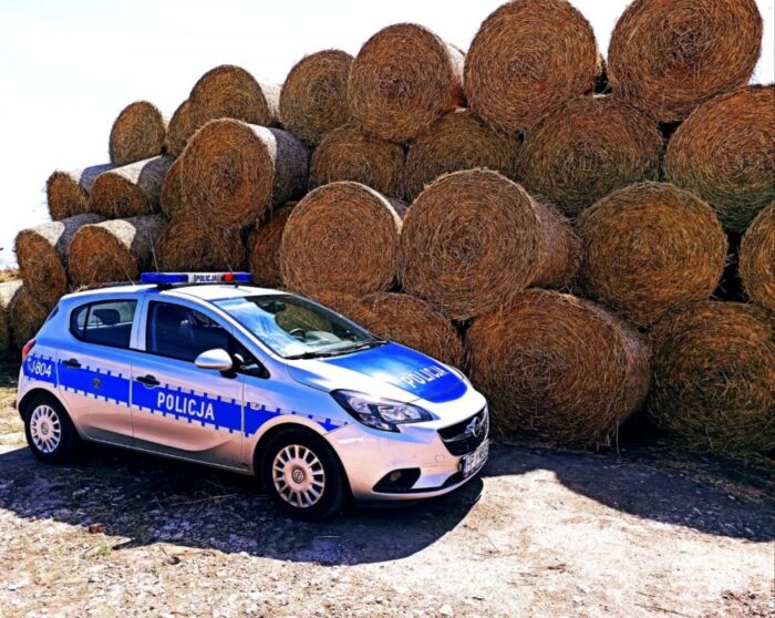 śmierć dziecka, zarzuty, środki zapobiegawcze, kierowca