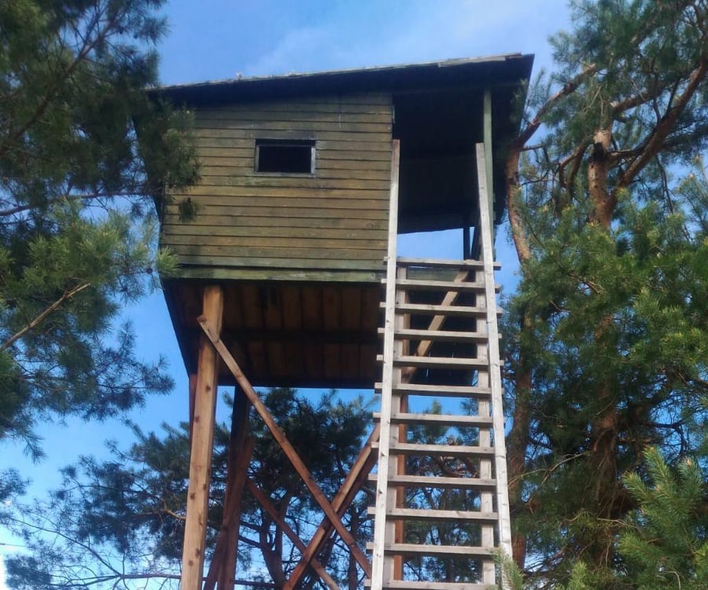 pzł, mkiś, ambony myśliwskie, prawo budowlane