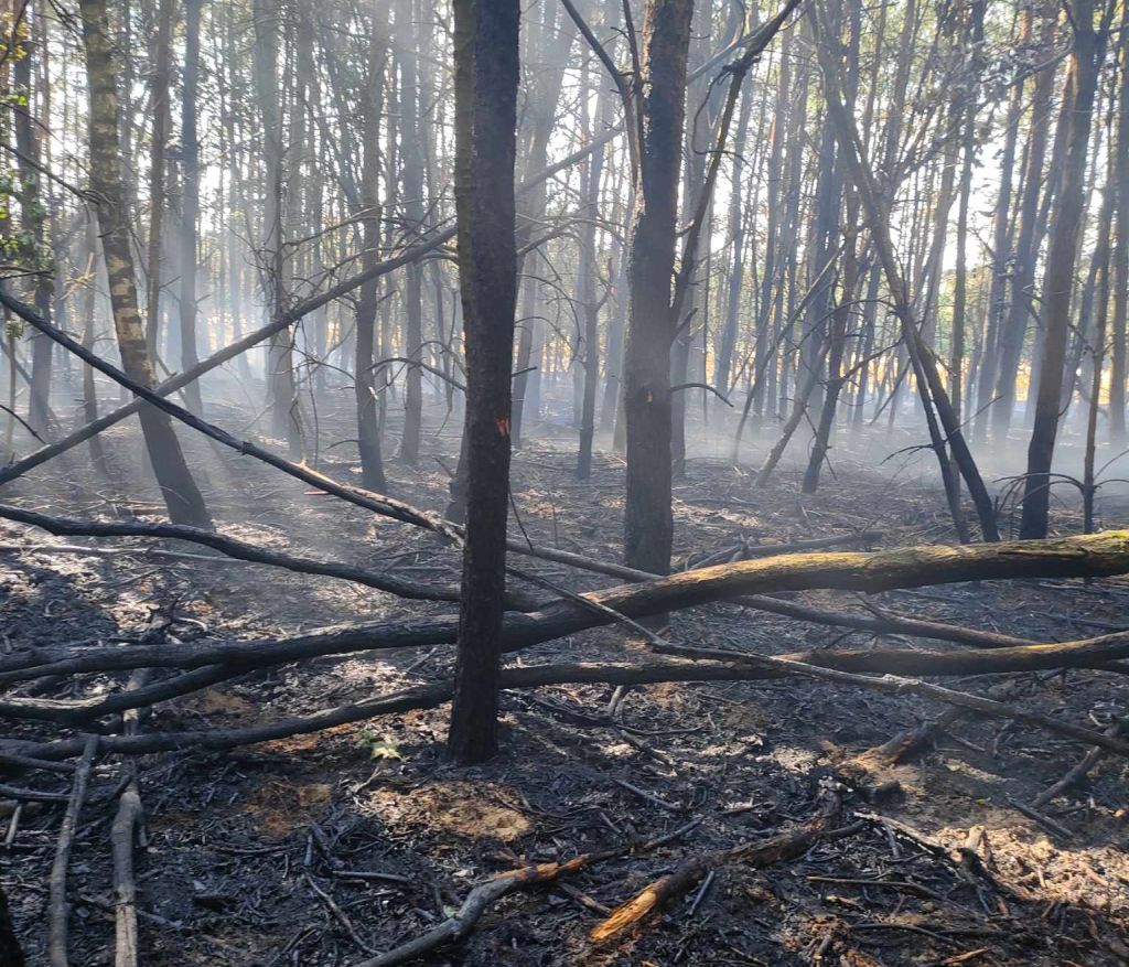 pożar, kombajn, pożar kombajnu, zboże