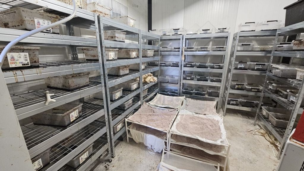 gospodarstwo sadownicze, grójec, narkotyki, produkcja narkotyków