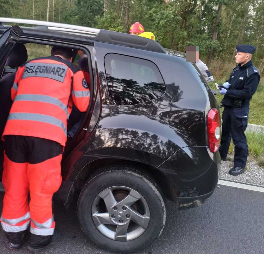 policjant, zderzenie, auto, łoś