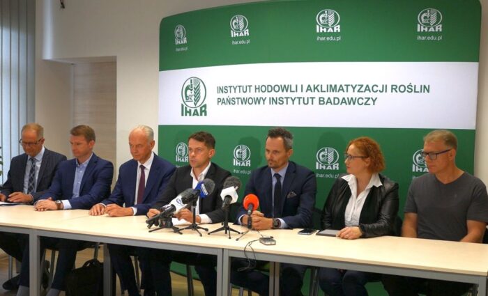 kołodziejczak, ziemniaki, sadzeniaki, ihar-pib