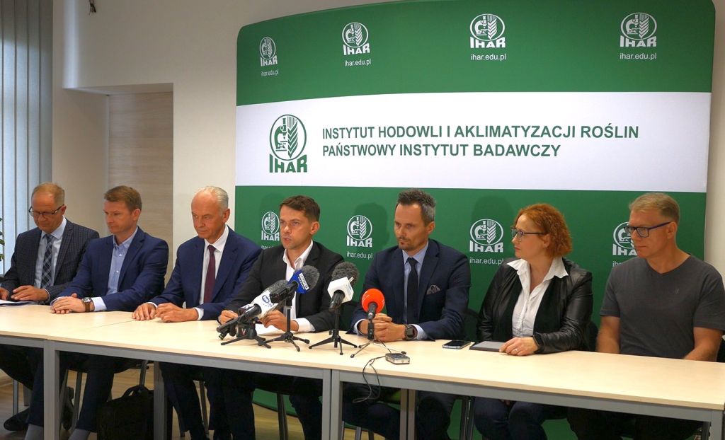 kołodziejczak, ziemniaki, sadzeniaki, ihar-pib