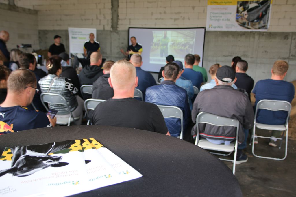Agrifirm, koncept constant feeding, bydło mleczne, żywienie bydła