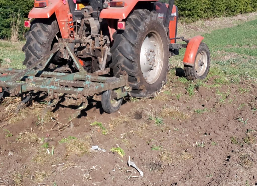 krir, rolnictwo węglowe, ekoschemat, międzyplony ozime