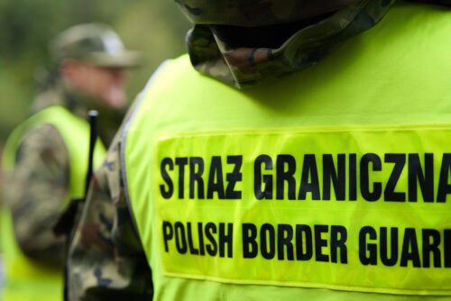 bosg, gospodarstwo sadownicze, zbiory jagód, nielegalna praca