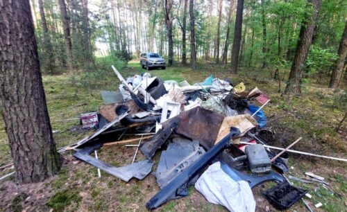 lasy państwowe, śmieci, śmieci w lesie, sprzątanie lasów