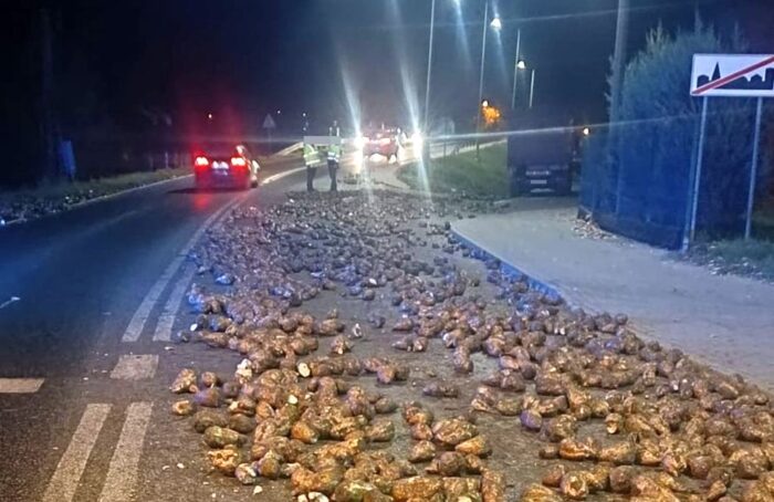 zdarzenie drogowe, buraki na drodze, buraki cukrowe, transport buraków
