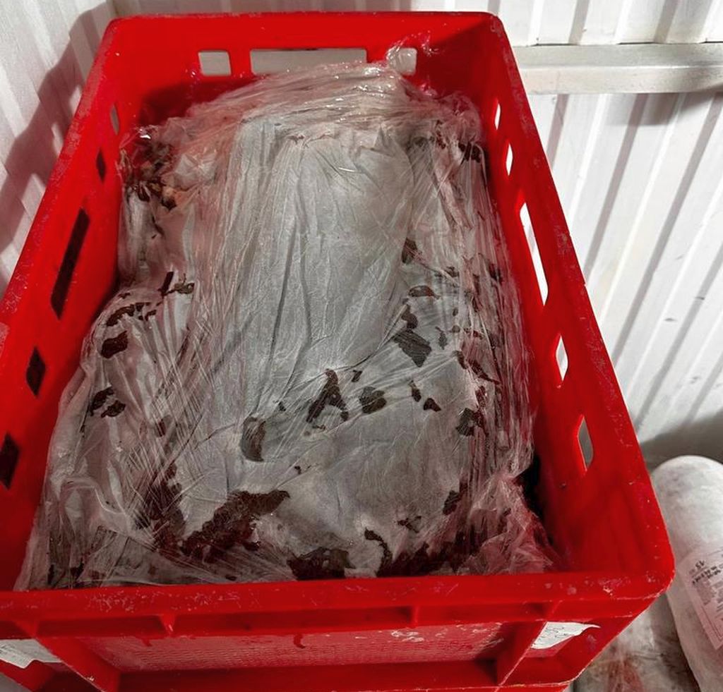 kmp bydgoszcz, nielegalna produkcja mięsa, mięso kebabowe, produkcja mięsa
