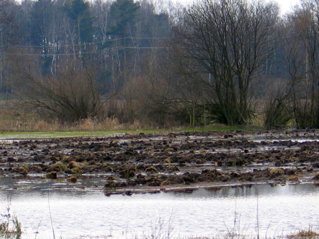 ir w opolu, powódź, podtopienia, szkody