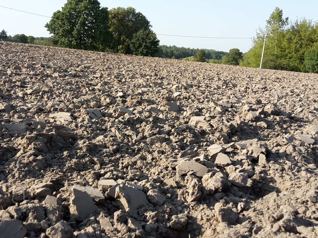 cpk, grunty, dzierżawa, rolnicy