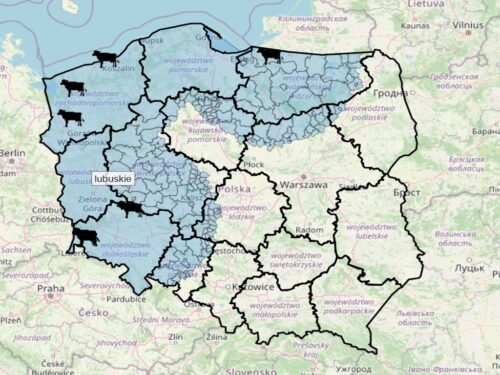 choroba niebieskiego języka, bydło mleczne, bydło mięsne, BTV-3, domowe przeżuwacze,kuczmany, mięso, mleko,