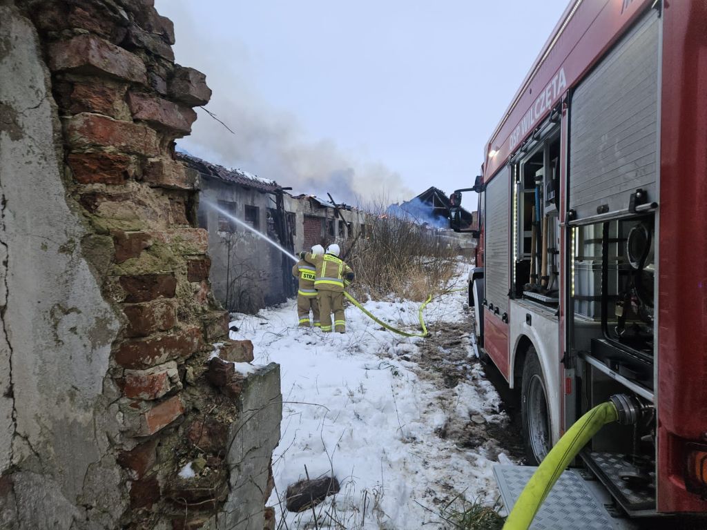 pożar, pożar w gospodarstwie, bydło, spalone bydło