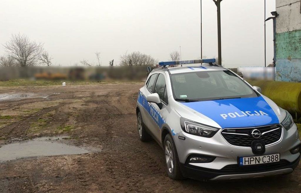 kradzież, rzepak, kradzież rzepaku, skradziony rzepak