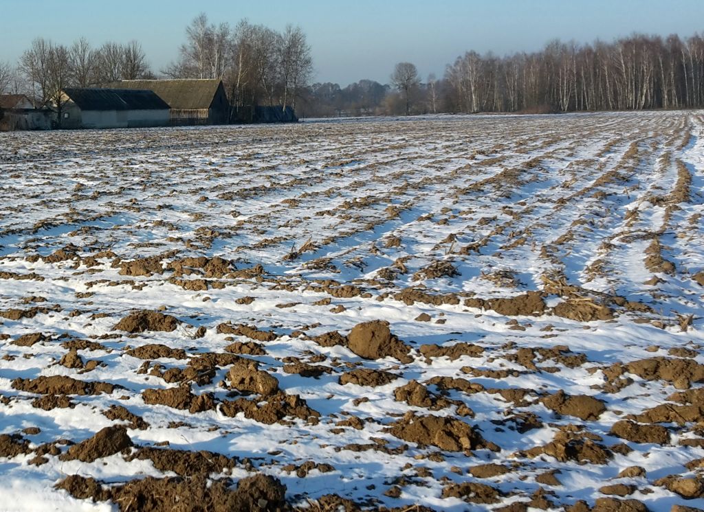 mrirw, nawożenie, wiosenne nawożenie, program azotanowy