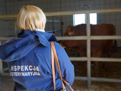 mrirw, system, elektroniczna książka leczenia zwierząt gospodarskich, leczenie zwierząt