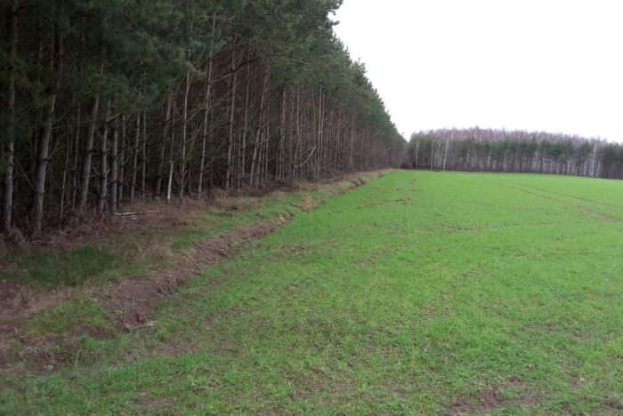 mkiś, resort klimatu, zwierzęta łowne, parki narodowe