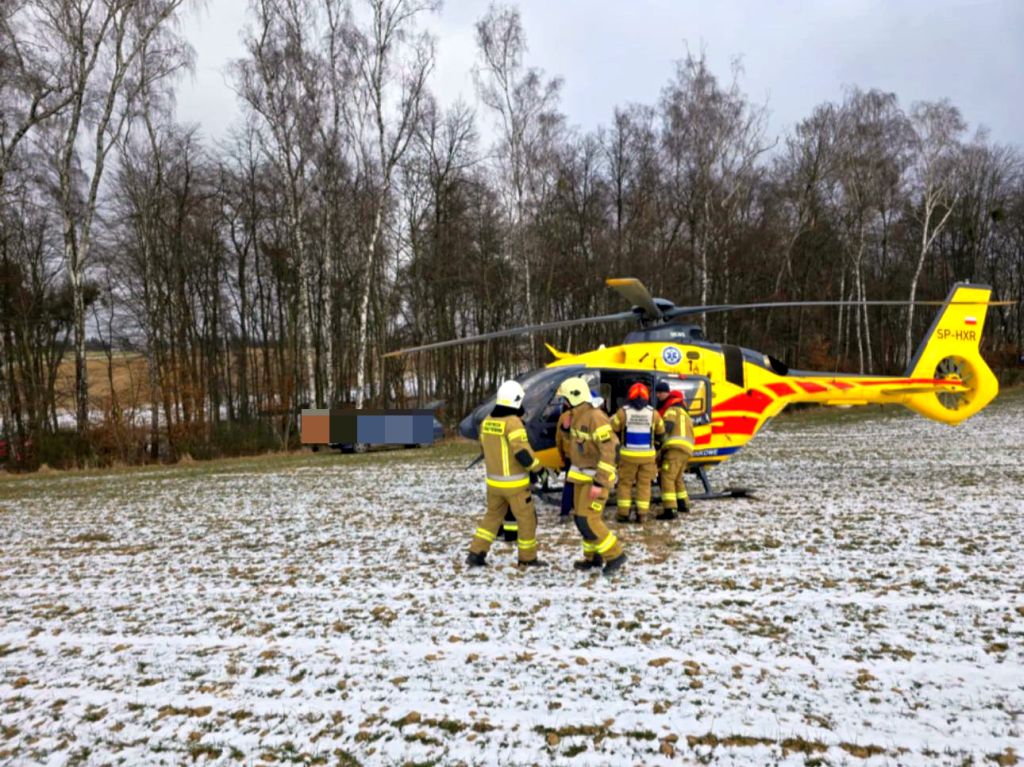 prace leśne, wycinka drzewa, wycinka drzew, wypadek, śmierć mężczyzny