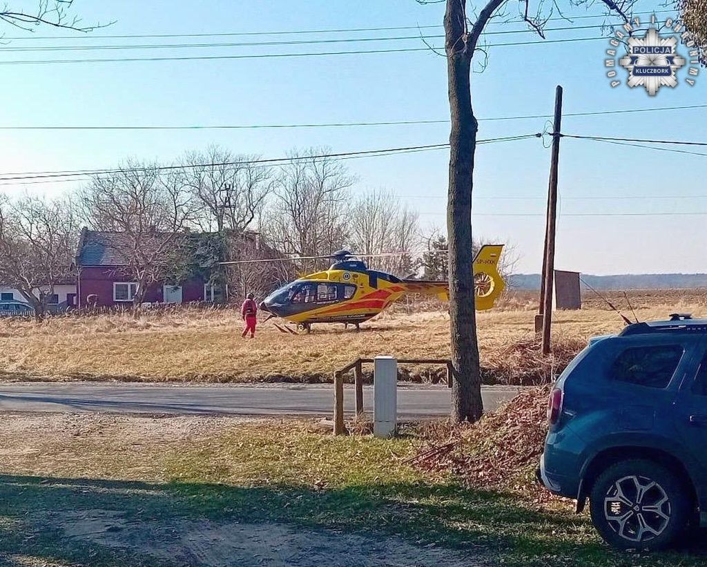 wypadek, prace leśne, wycinka drzew, ranny mężczyzna