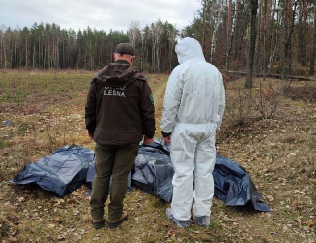 rdlp olsztyn, martwy drób, martwe kury, lasy