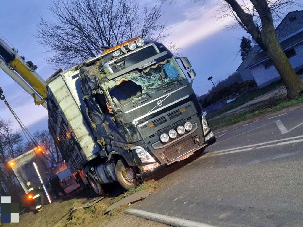 wywrócona ciężarówka, przewóz trzody, trzoda chlewna, ranny kierowca