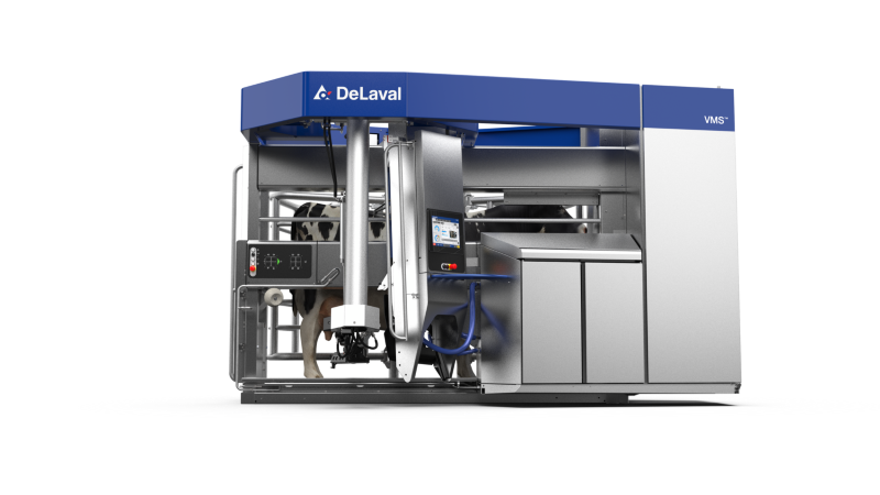 delaval, robot udojowy, krowy mleczne, fermy bydła mlecznego