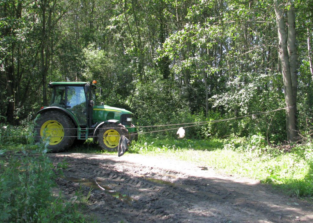 arimr, nabór, wnioski, wsparcie, rolnicy, inwestycje leśne