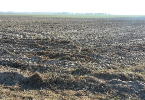 długi rolników, zadłużenie rolników, kowr, przejęcie ziemi